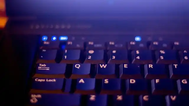 AI Learns from Simple Feedback