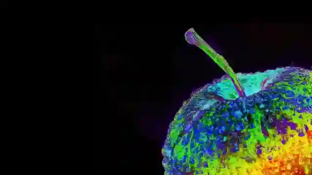 AI Learns Without Forgetting