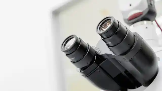 AI Solves Complex Math Problems Like Human Experts