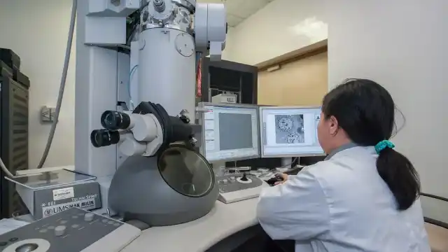 Small Changes in School Interactions Can Reverse Segregation